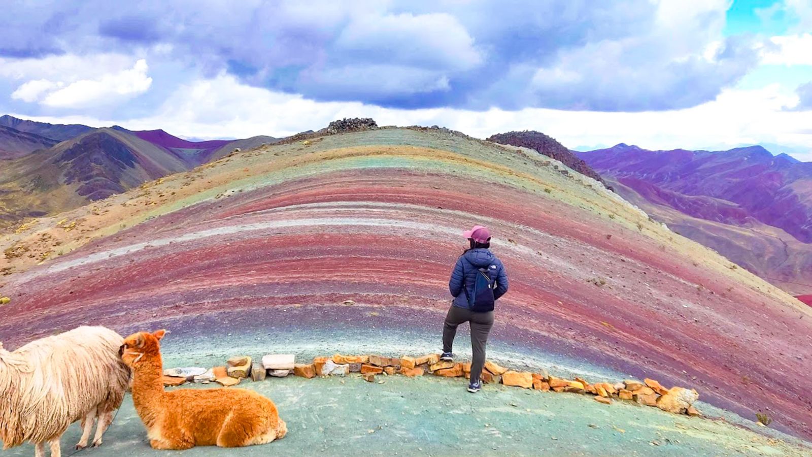 montana palcoyo