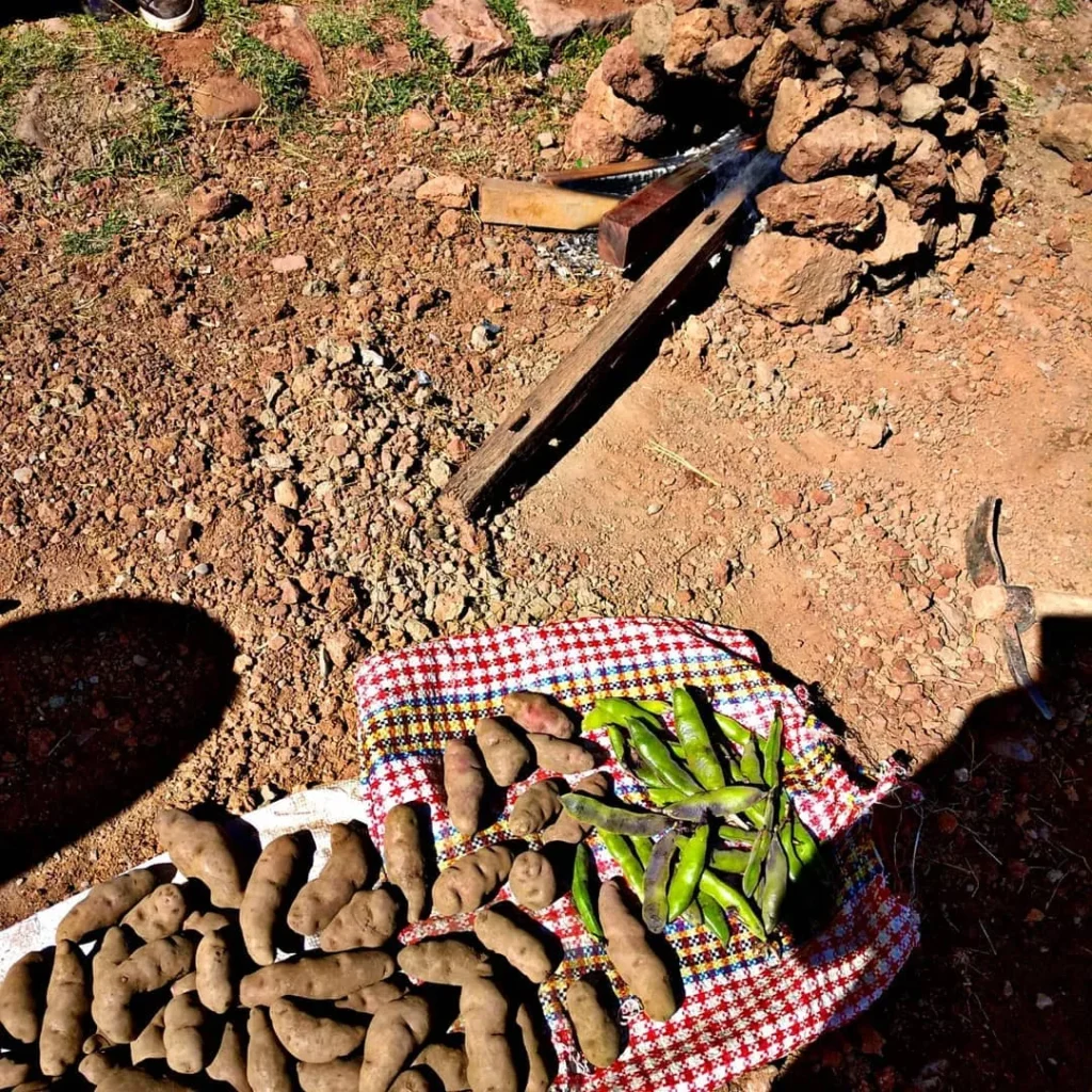 Preparando el horno de tierra para introducir la papa y habas