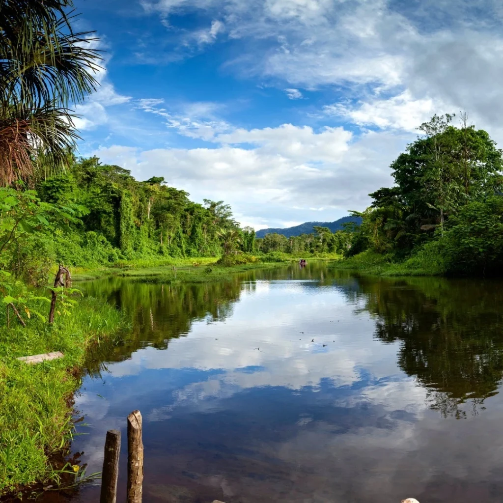 O Parque Nacional de Manu, refúgio de inúmeras espécies em Madre de Dios, Peru