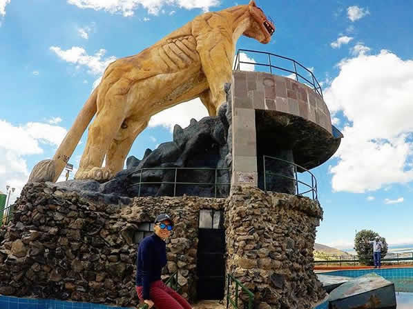 puma uta puma uta