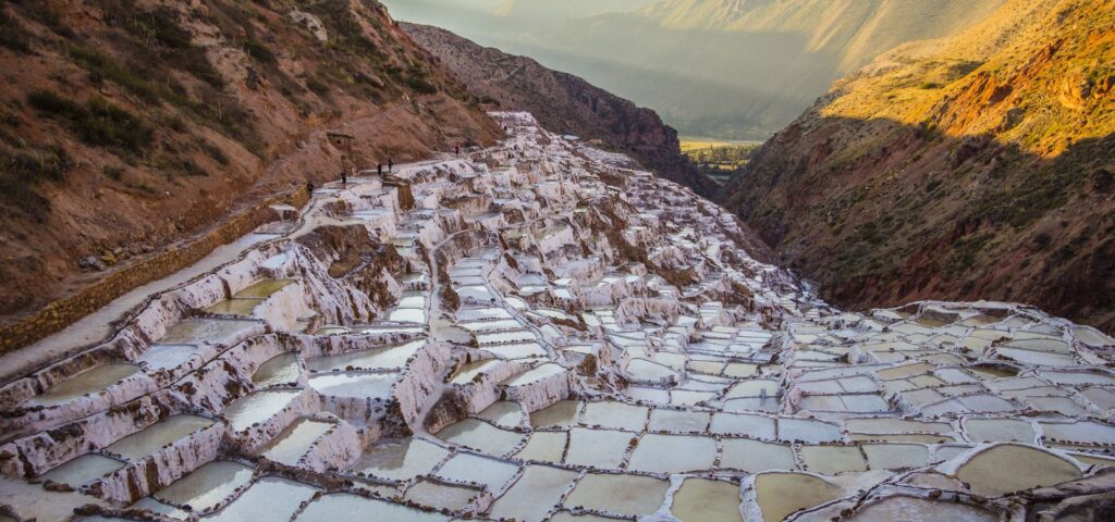Maras Maras