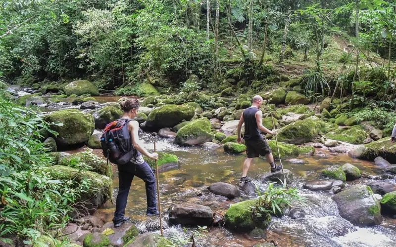 Trekking Selva Alta Trekking Selva Alta