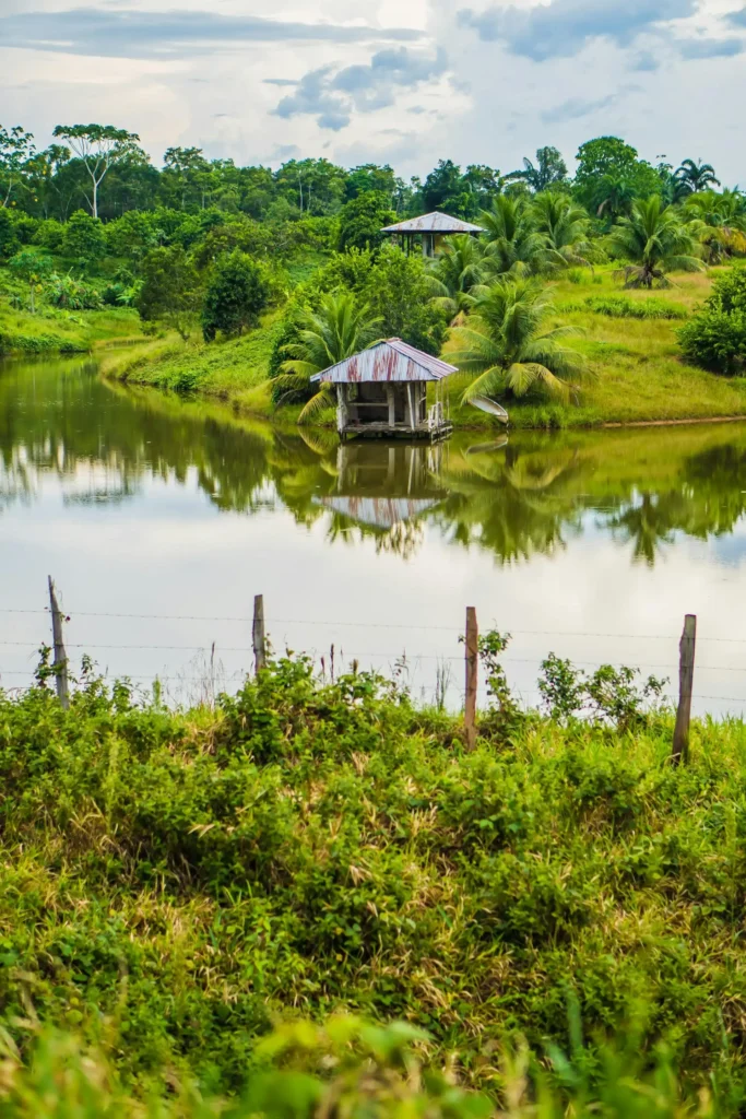 Casas prefabricadas en la Selva del Peru