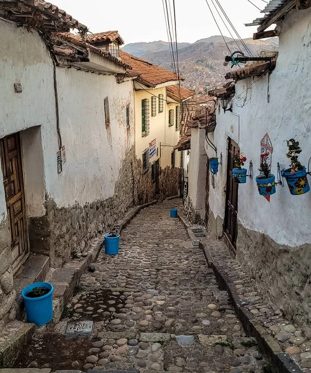 Escalinatas adornadas con plantas en la calle Resbalosa