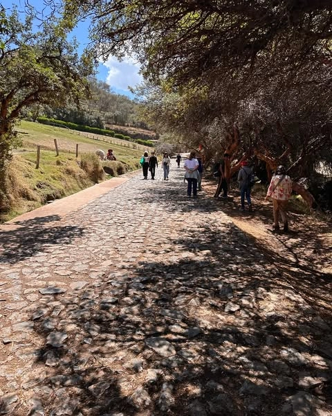 Camino para la llegada al complejo arqueológico de Tambomachay