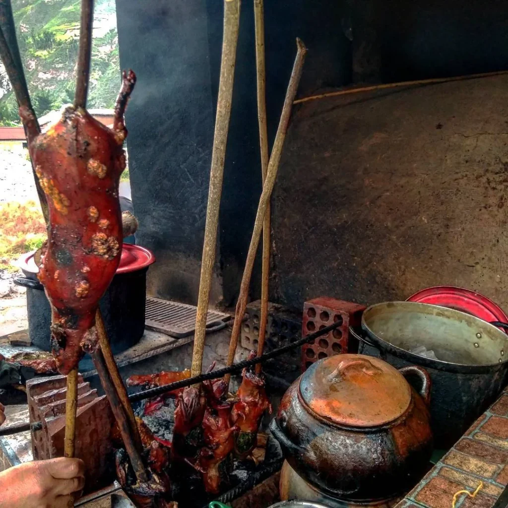 Preparação do prato popular em festividades, o Cuy al Palo