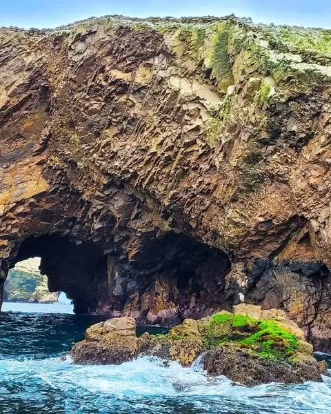 Fauna y flora en la Reserva Nacional de Paracas