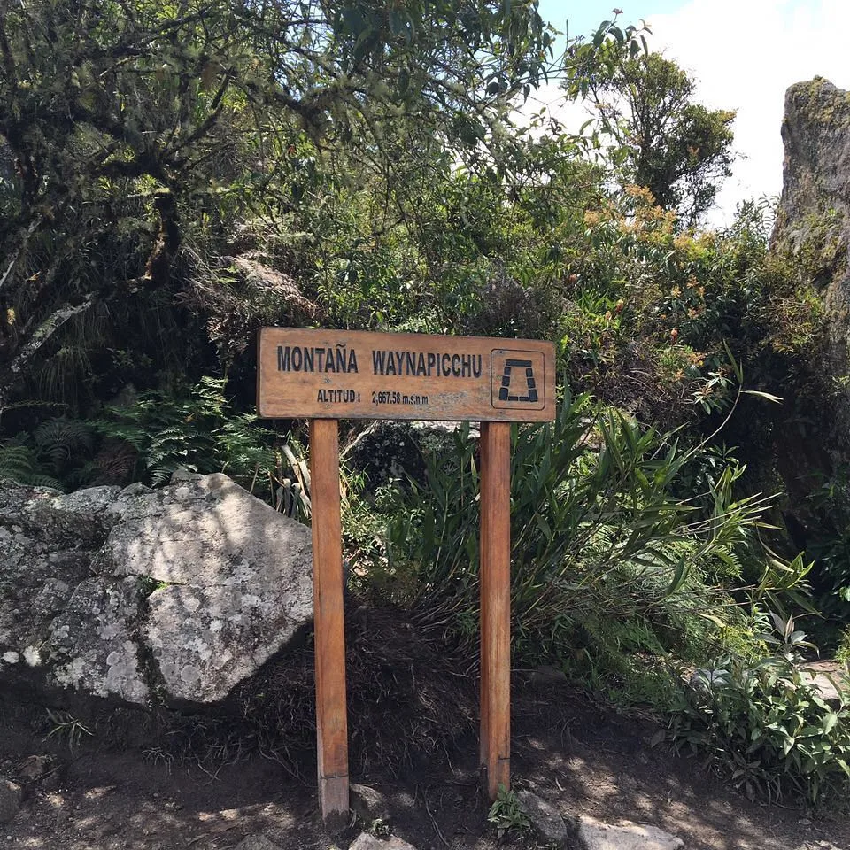 Altitude marker of 2,667 meters above sea level on the trail to Huayna Picchu Mountain