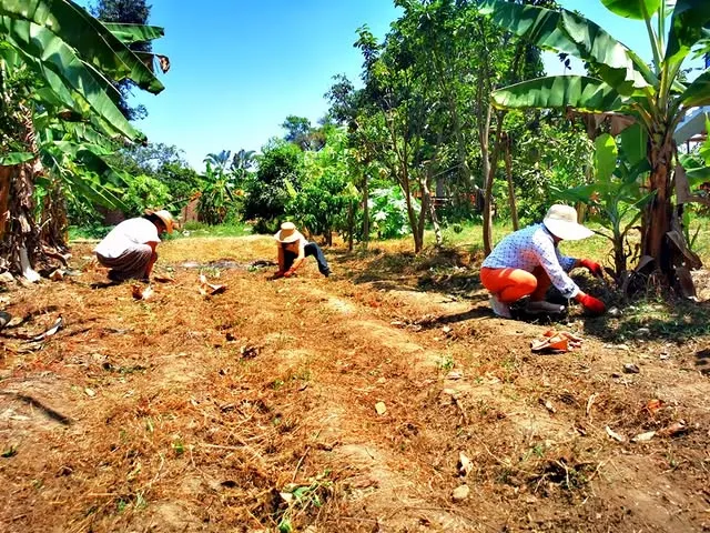 Minka, a voluntary and reciprocal community work system in Inca society