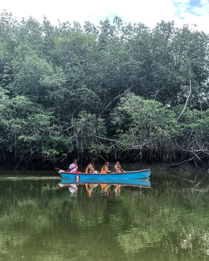 Turistas passeando de barco pela Reserva Nacional de Tumbes