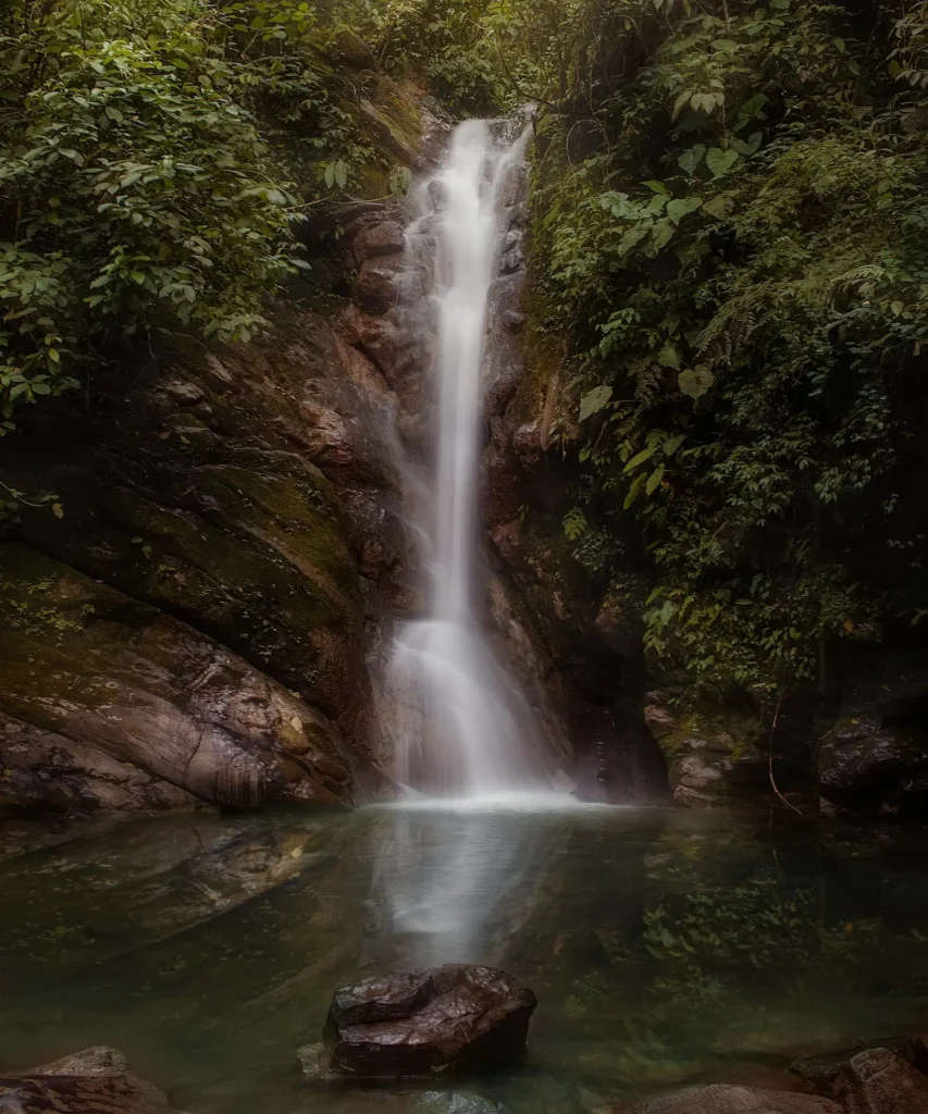 Una hermosa catarata en el Parque Nacional Tingo María