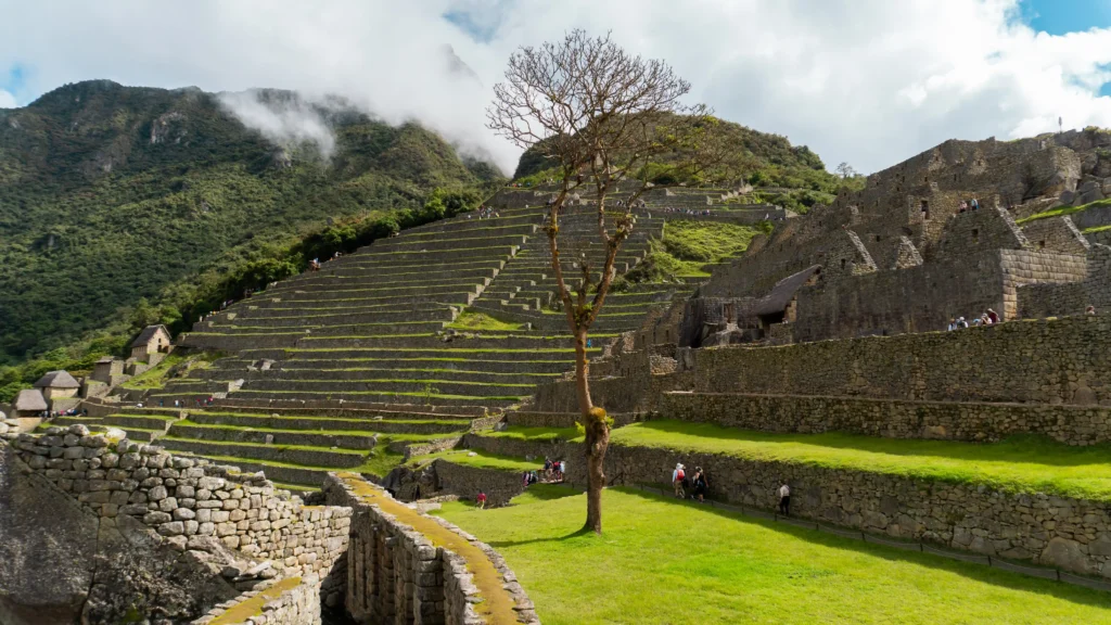 andenesMachuPicchu2