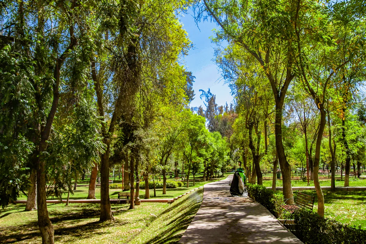 Parque Selva Alegre en Arequipa