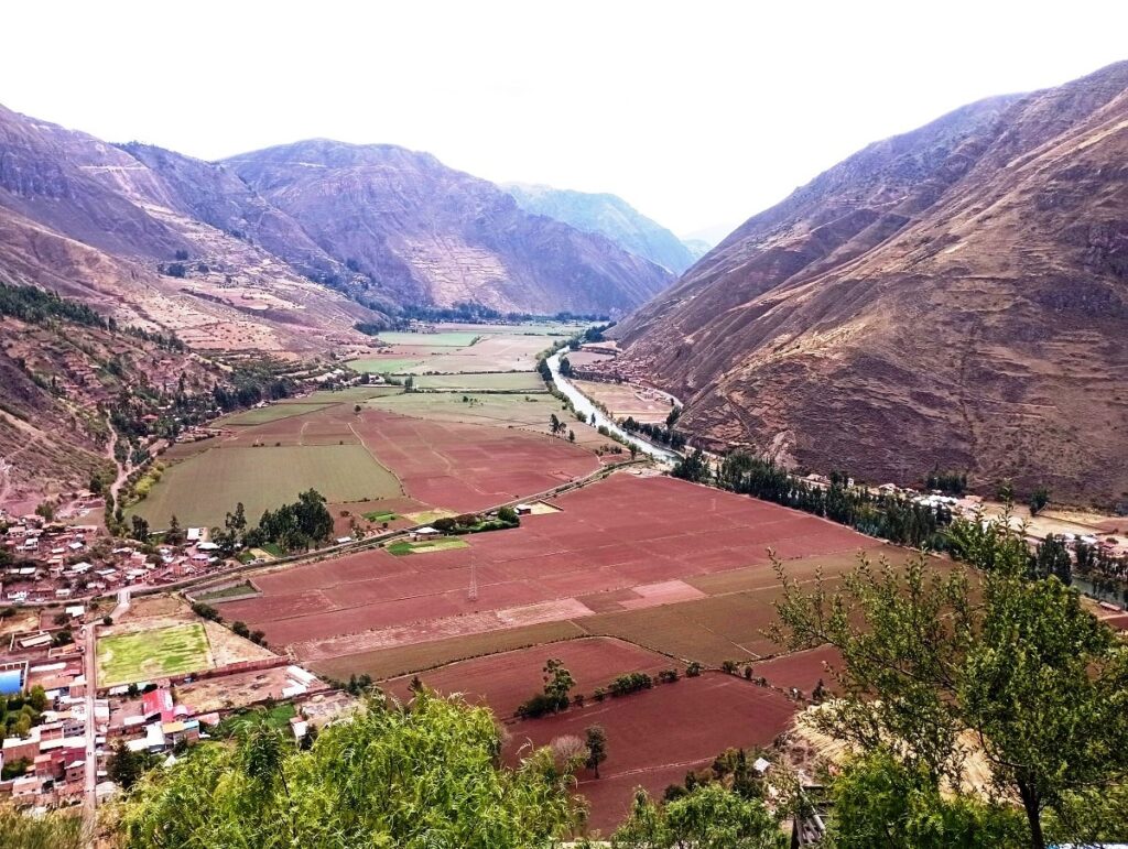 mirador de taray