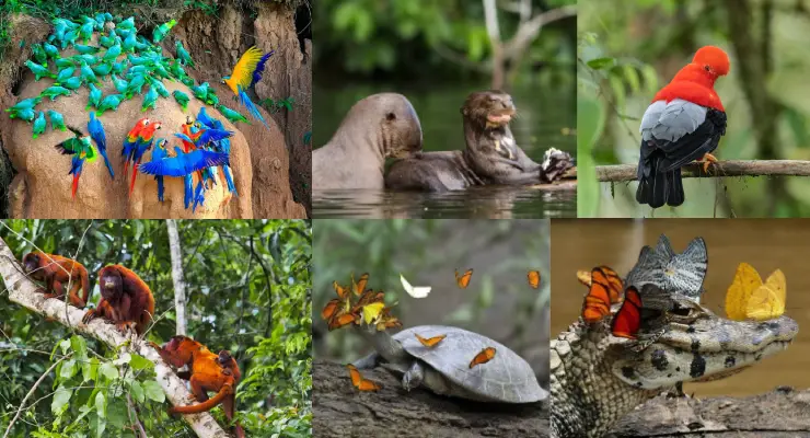 Fauna emblemática