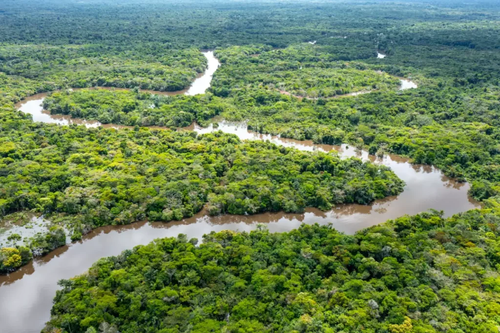 selva amazonico