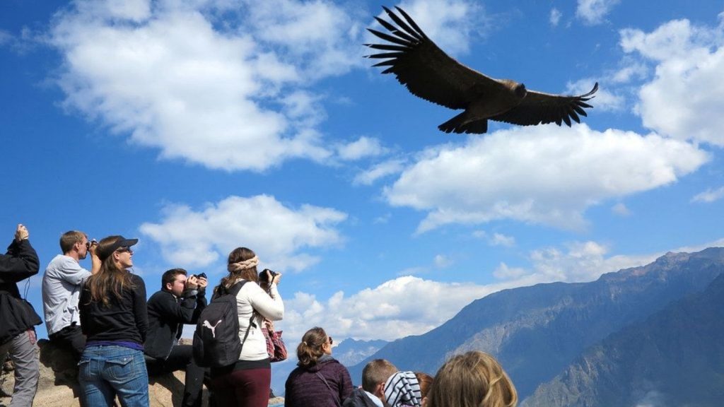colca colca