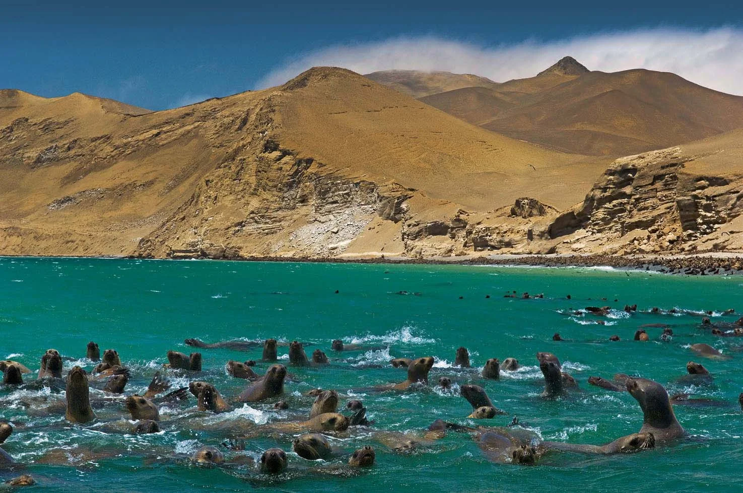 Las islas Ballestas Las islas Ballestas
