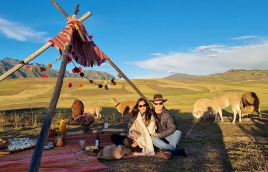 Picnic