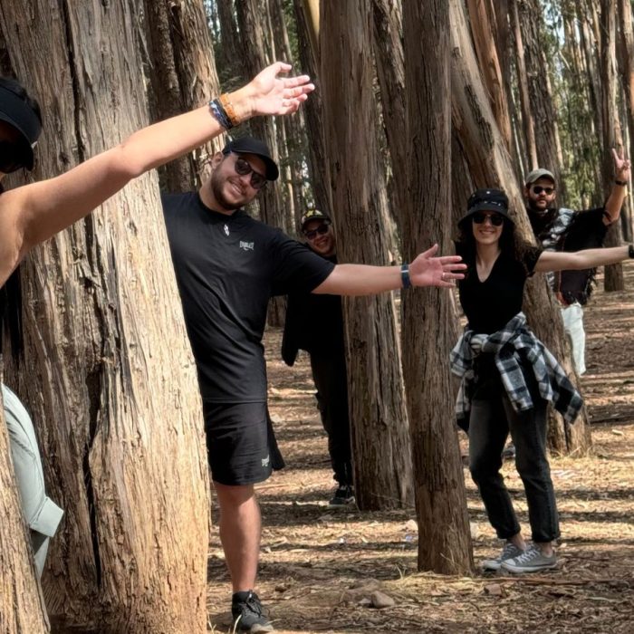 bosque eucalipto qenqo bosque eucalipto qenqo