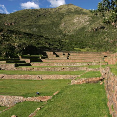 copia de tipon 1 copia-de-tipon-1