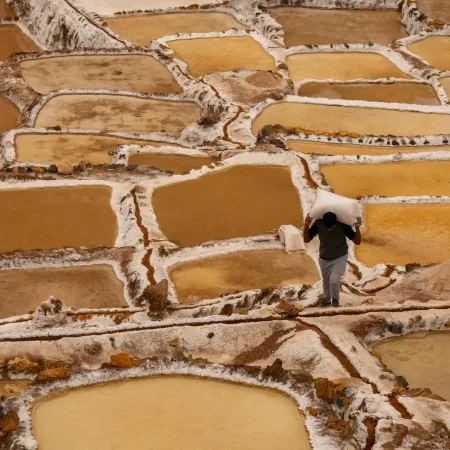Encargado Carga Sal Salineras Maras