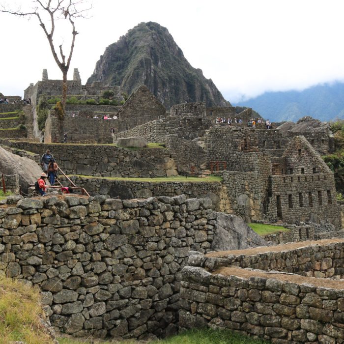 machu picchu full day