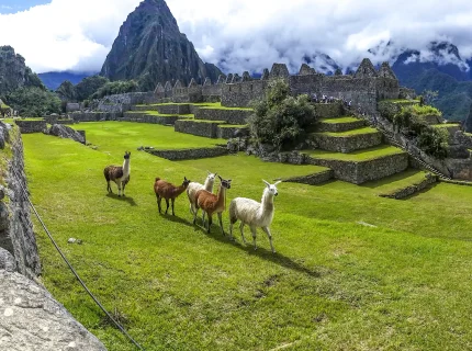 machu-picchu
