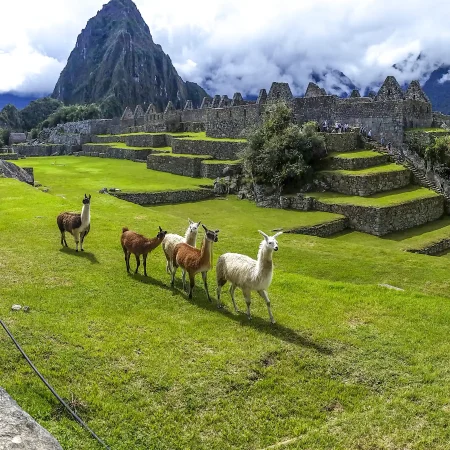 machu-picchu