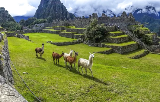 machu-picchu