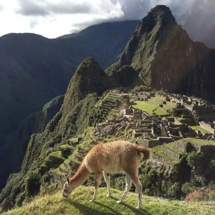 Santuario Machu Picchu