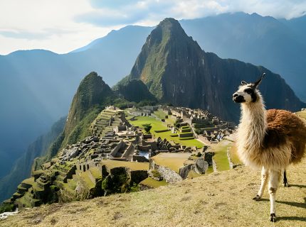 machu picchu wayna