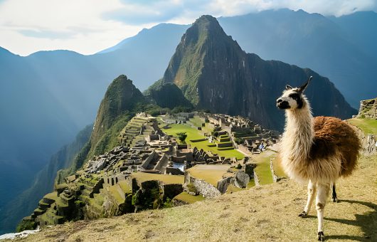 machu picchu wayna