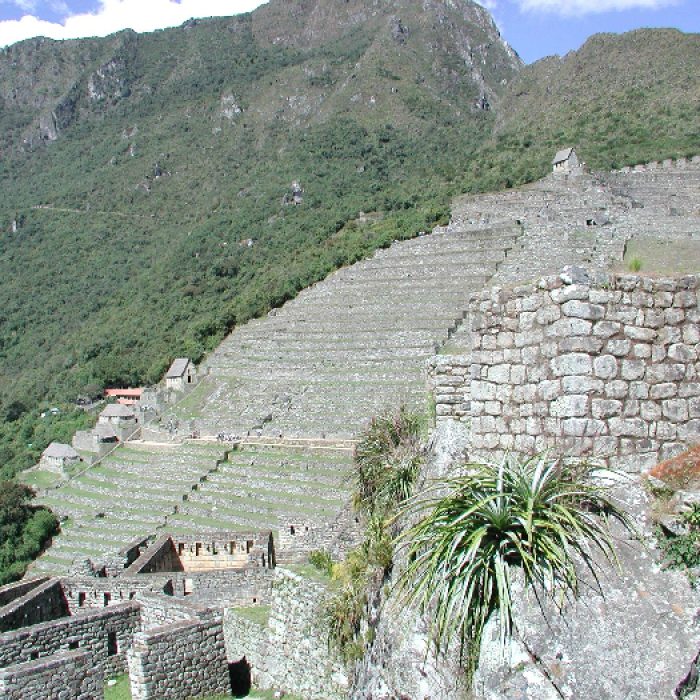 Santuario Machu Picchu