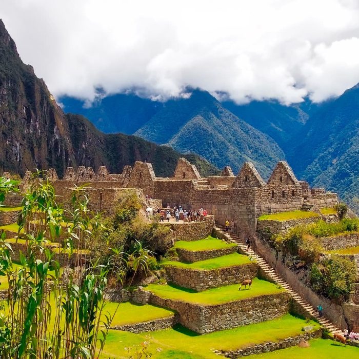 Machu Picchu