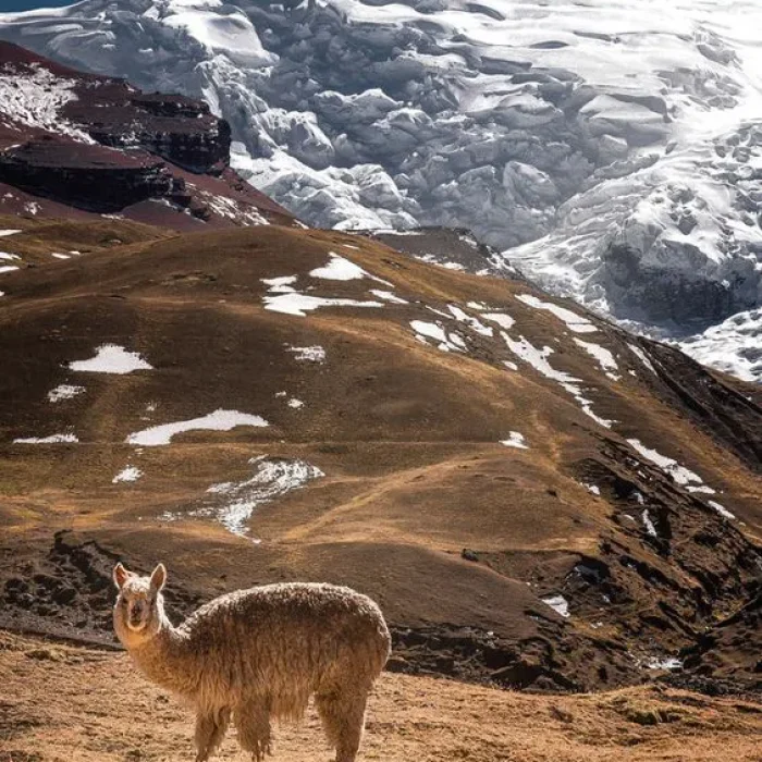 maras-moray-salineras_02