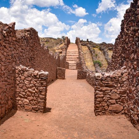 pikillacta pikillacta