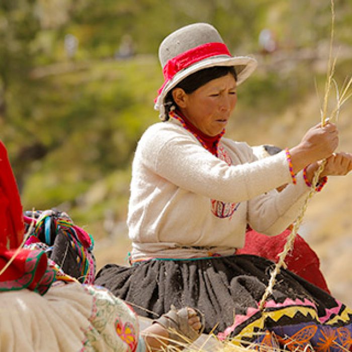puente-inca-qeswachaka_03