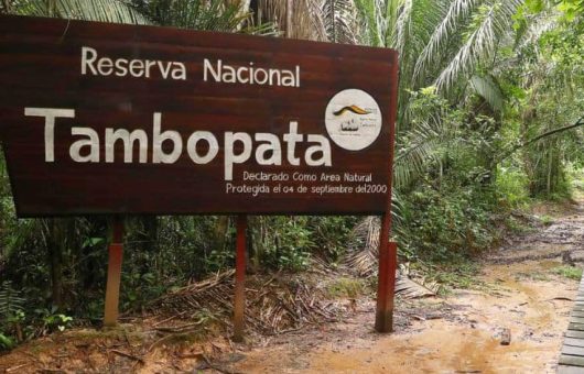 reserva-nacional-tambopata