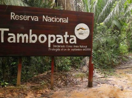 reserva-nacional-tambopata