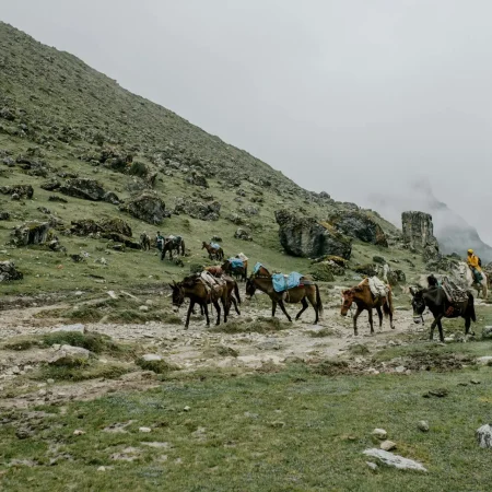 rutaCaballossalkantayMachupicchu Caballos en la ruta Salkantay Machupicchu