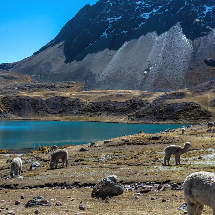 tour-7-lagunas
