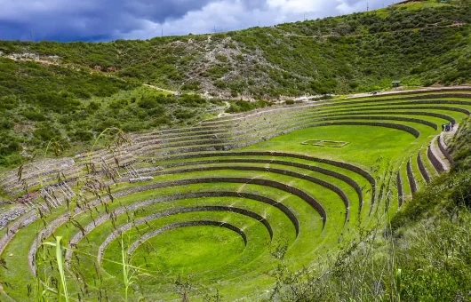 Moray